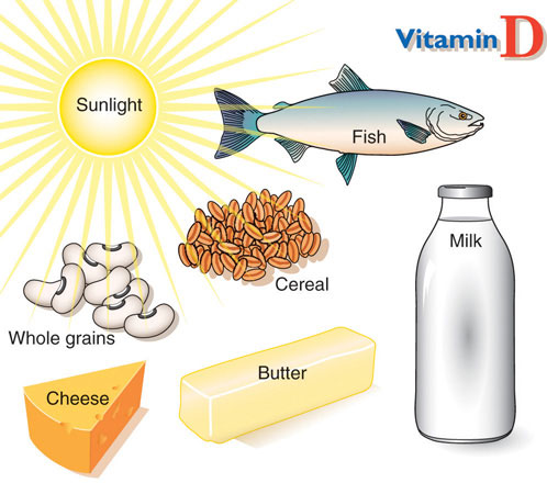 Vitamin D giúp làm giảm ung thư tuyến tụy