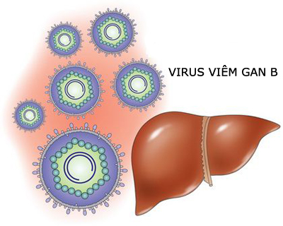 Chế độ dinh dưỡng và phương pháp điều trị cho người viêm gan siêu vi B