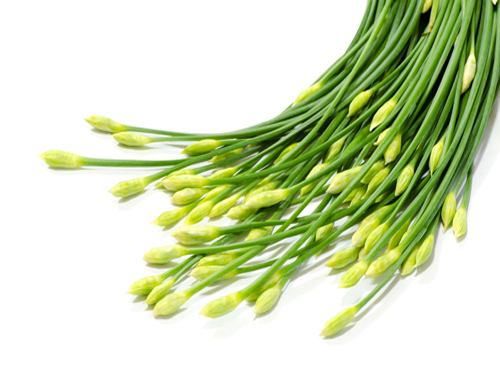 Giá trị dinh dưỡng của cây hẹ