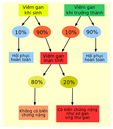 Viêm gan virut mạn tính?