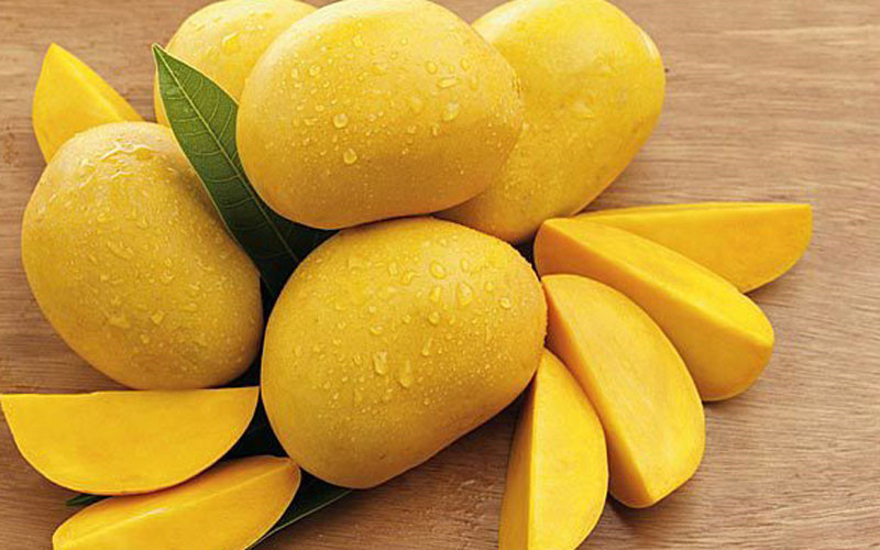 Những điều cần biết về xoài