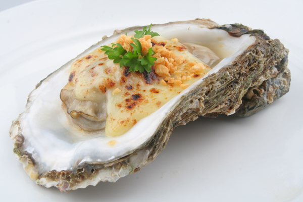 Nuôi hàu bằng lốp xe