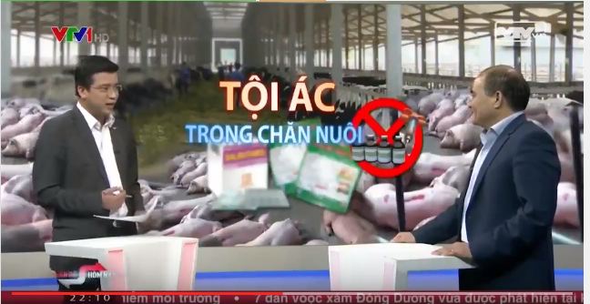 Dùng chất cấm trong chăn nuôi có thể phạt tù 20 năm