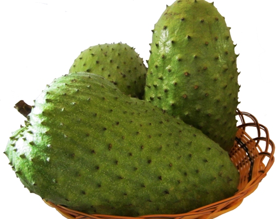 Công dụng đặc biệt của trái mãng cầu với việc điều trị ung thư