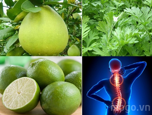 Gai cột sống và thoát vị đĩa đệm chỉ cần áp dụng bài thuốc này là đỡ