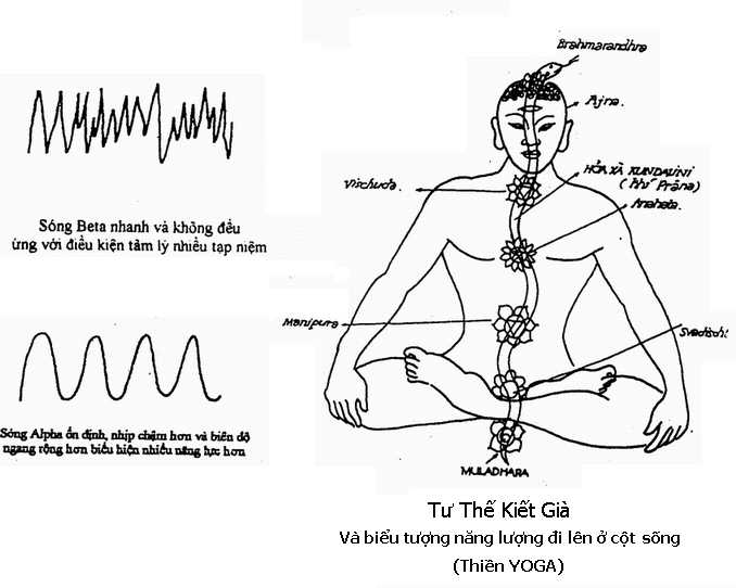 Sự kỳ diệu không ngờ của Thiền, phương pháp chữa bệnh không dùng thuốc