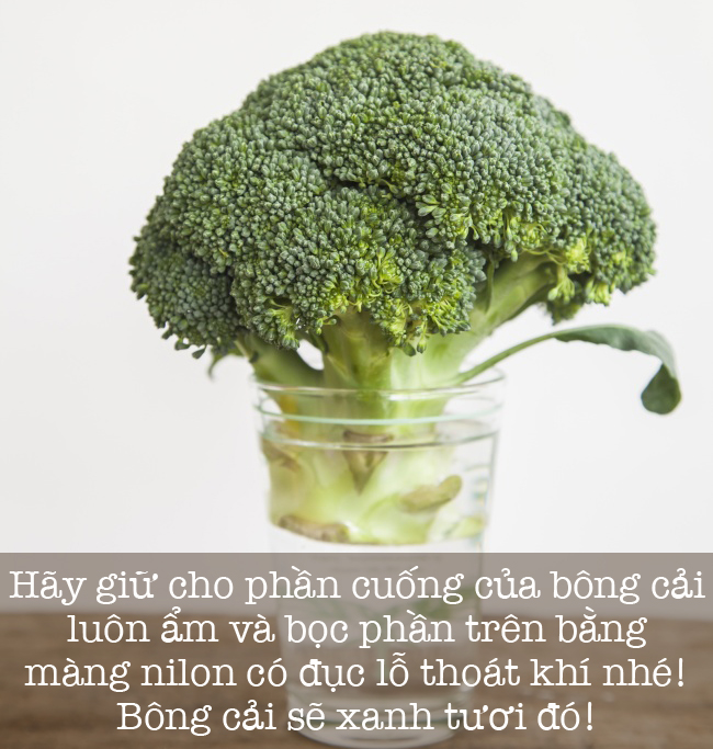 8 cách giúp giữ tươi lâu các loại rau củ quả