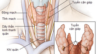 Hiểu biết về suy tuyến cận giáp