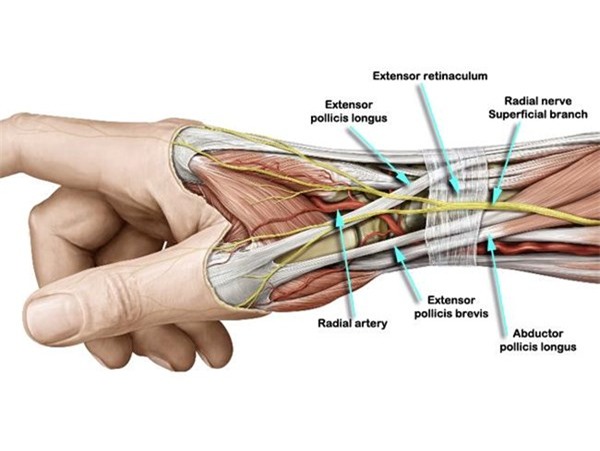 Nhận diện viêm gân cổ tay, chân và đầu gối