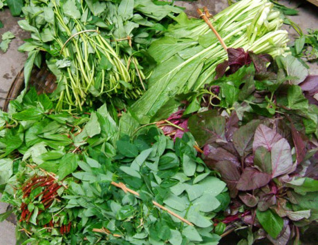 Rau ăn lá là nguyên nhân chính gây ung thư cho người Việt Nam?