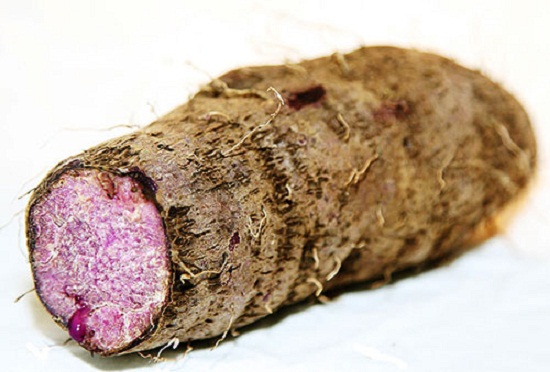 dinhduonghoc.com - khoai mỡ