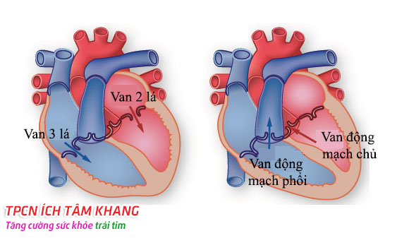 dinhduonghoc.com - dinh duong hoc