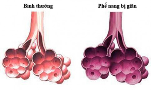 dinhduonghoc.com - dinh duong hoc