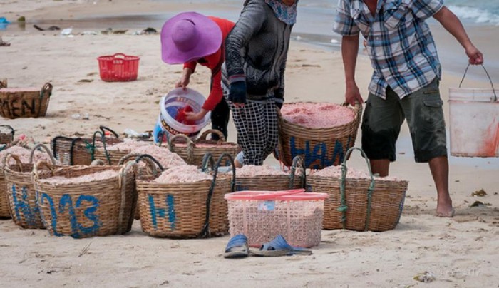 dinhduonghoc.com - nguyên nhân gây men gan cao