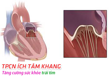 dinhduonghoc.com - dinh duong hoc