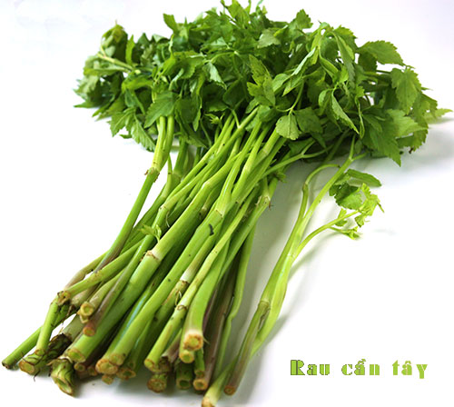 dinhduonghoc.com - rau can tay