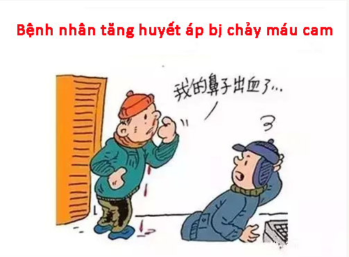 dinhduonghoc.com - xuat huyet nao