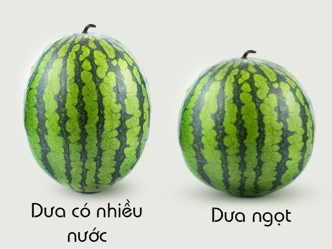 dinhduonghoc.com - cach chon dua hau