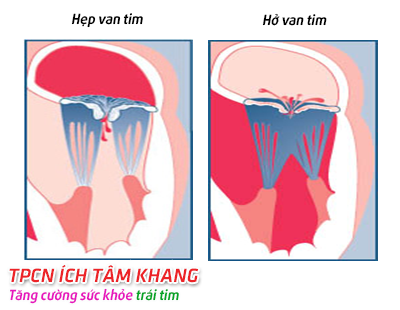 dinhduonghoc.com - dinh duong hoc