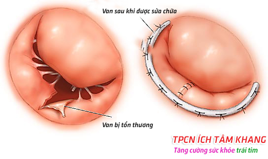 dinhduonghoc.com - dinh duong hoc