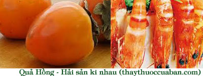 dinhduonghoc.com - thuc pham ky nhau