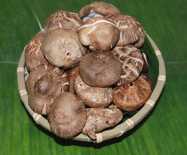 dinhduonghoc.com - sống thọ nhờ 7 loại thực phẩm sau