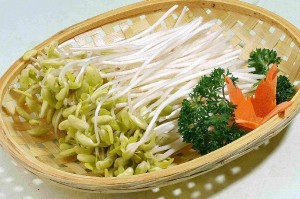 dinhduonghoc.com - mầm đậu nành giúp chống lại quá trình lão hóa và làm đẹp cho phái nữ