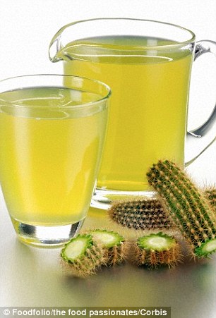 dinhduonghoc.com - xương rồng