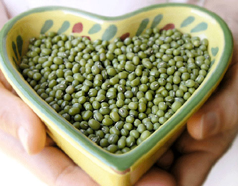 dinhduonghoc.com - công dụng của đậu xanh