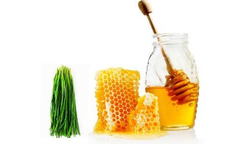 dinhduonghoc.com - mật ong không nên kết hợp với thực phẩm gì