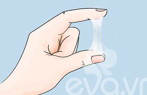 dinhduonghoc.com - dịch tiết âm đạo