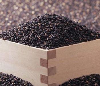dinhduonghoc.com - mè đen tốt cho sức khỏe