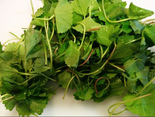dinhduonghoc.com - ăn ngải cứu, rau má, rau răm sai cách có thể gây nguy hiểm
