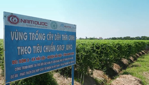 dinhduonghoc.com - sự thật về đông y chữa bệnh tiểu đường ở VN
