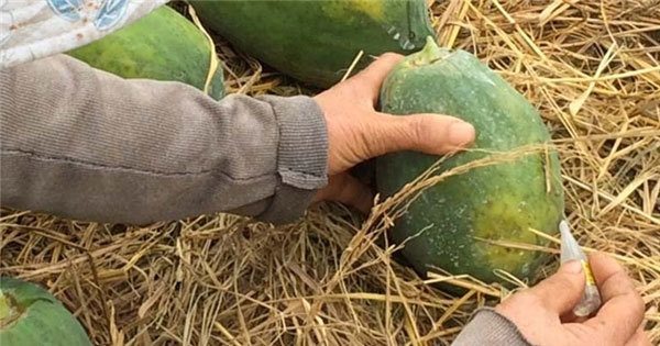 dinhduonghoc.com - Cẩm nang cho các bà nội trợ chọn thực phẩm để bảo vệ sức khỏe gia đình