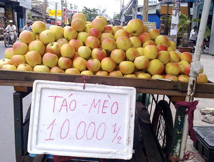 dinhduonghoc.com - Cẩm nang cho các bà nội trợ chọn thực phẩm để bảo vệ sức khỏe gia đình
