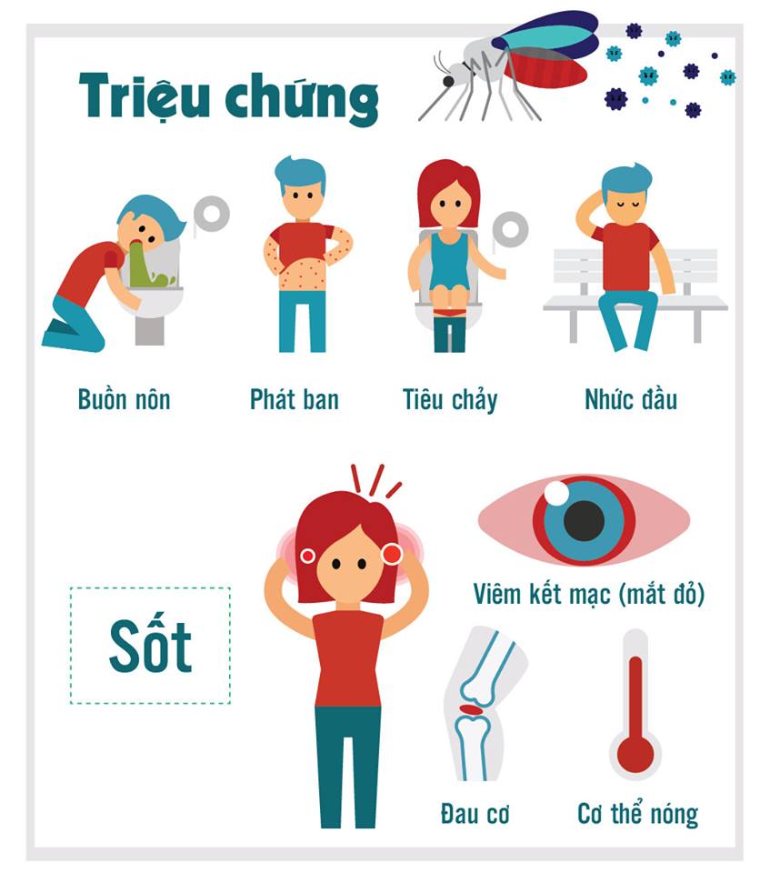 dinhduonghoc.com - Tổng quan về hội chứng teo đầu ở trẻ sơ sinh (virus zika)