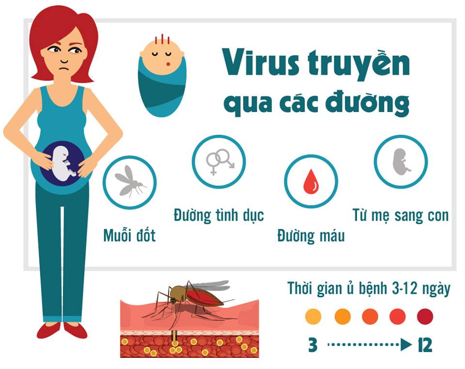 dinhduonghoc.com - Tổng quan về hội chứng teo đầu ở trẻ sơ sinh (virus zika)
