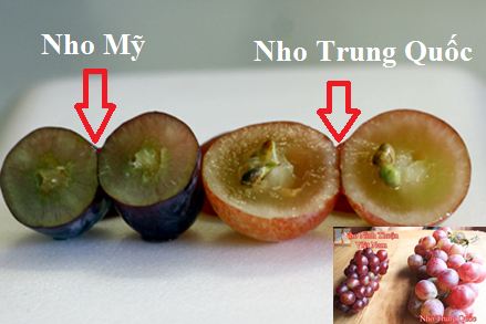 dinhduonghoc.com - Cẩm nang cho các bà nội trợ chọn thực phẩm để bảo vệ sức khỏe gia đình