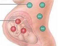 dinhduonghoc.com - Tăng nguyên hồng huyết cầu ở trẻ sơ sinh