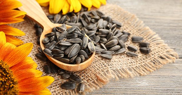 dinhduonghoc.com - Một ngày thì nên dùng bao nhiêu rau quả để đủ Vitamin?