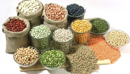 dinhduonghoc.com - Ăn thông minh, sống khỏe mạnh! Tiết lộ bí quyết ăn uống của những người trường thọ nhất
