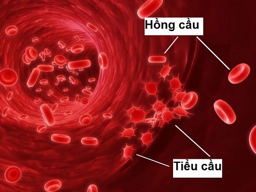 dinhduonghoc.com - Điểm lưu ý cho bệnh nhân mắc rối loạn chức năng tiểu cầu