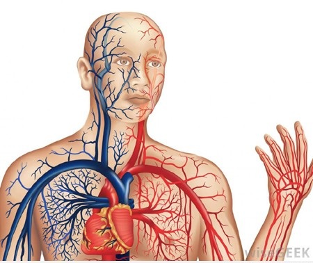 dinhduonghoc.com - CẢI THIỆN GIẤC NGỦ NHỜ TĂNG CƯỜNG TUẦN HOÀN MÁU NÃO