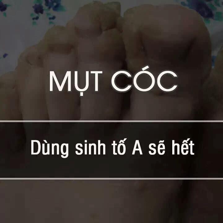 dinhduonghoc.com - meo hay