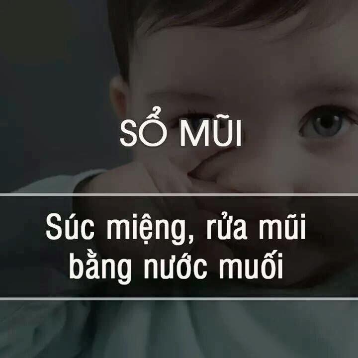 dinhduonghoc.com - meo hay