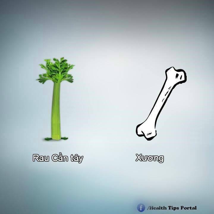dinhduonghoc.com - dinh duong hoc