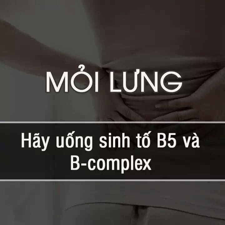 dinhduonghoc.com - meo hay