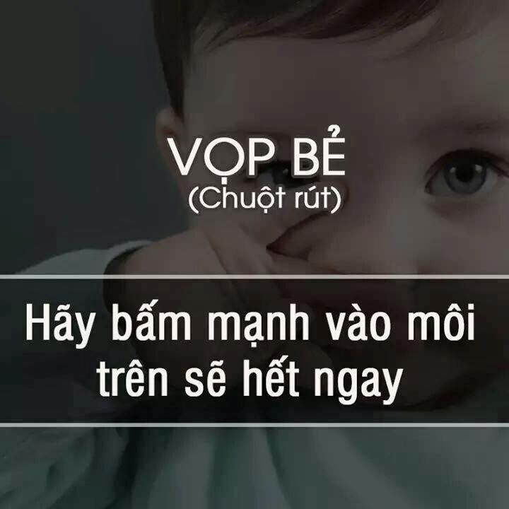 dinhduonghoc.com - meo hay