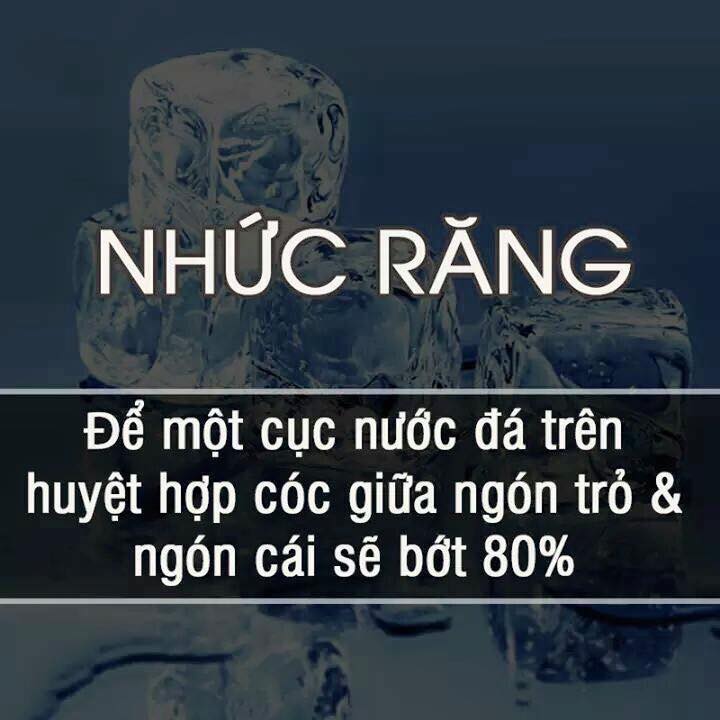 dinhduonghoc.com - meo hay